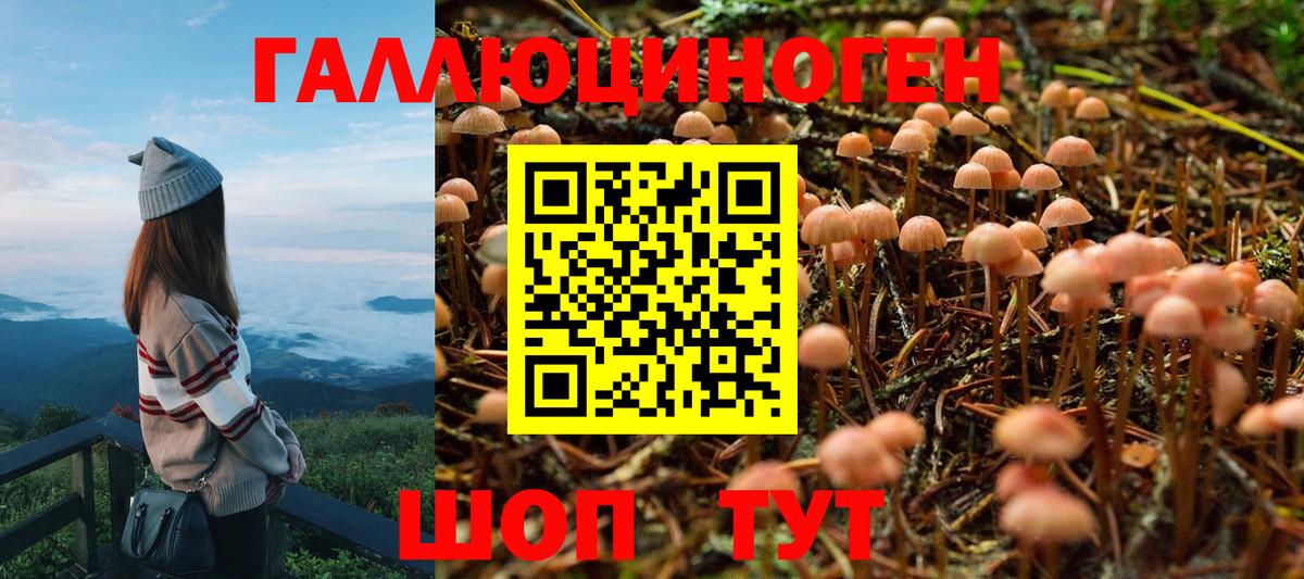 Джанкой  Псилоцибиновые грибы MAGIC MUSHROOMS  Вход с VPN 