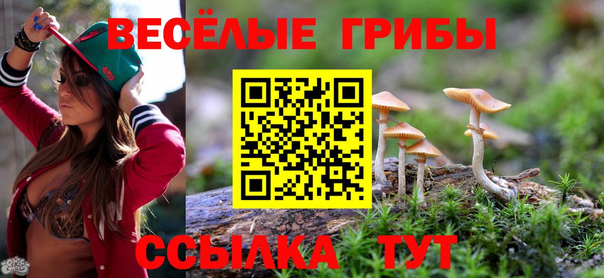Псилоцибиновые грибы Cubensis Джанкой